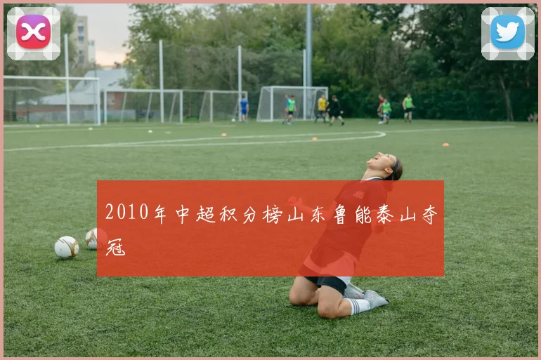 2010年中超积分榜山东鲁能泰山夺冠