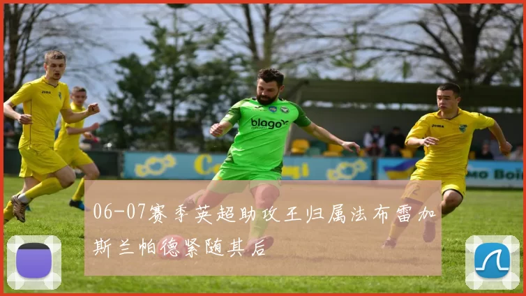 06-07赛季英超助攻王归属法布雷加斯兰帕德紧随其后