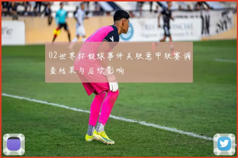 02世界杯假球事件关联意甲联赛调查结果与后续影响