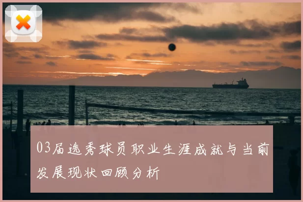 03届选秀球员职业生涯成就与当前发展现状回顾分析