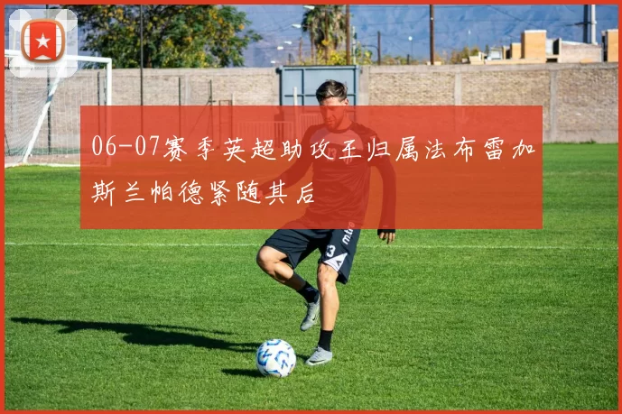 06-07赛季英超助攻王归属法布雷加斯兰帕德紧随其后